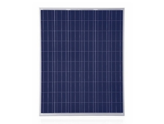 Trina-Honey-Multi-Panels�ӱ�